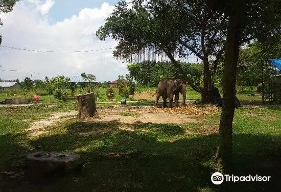 2_Kasang Kulim Zoo