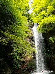 Shirafuji Falls