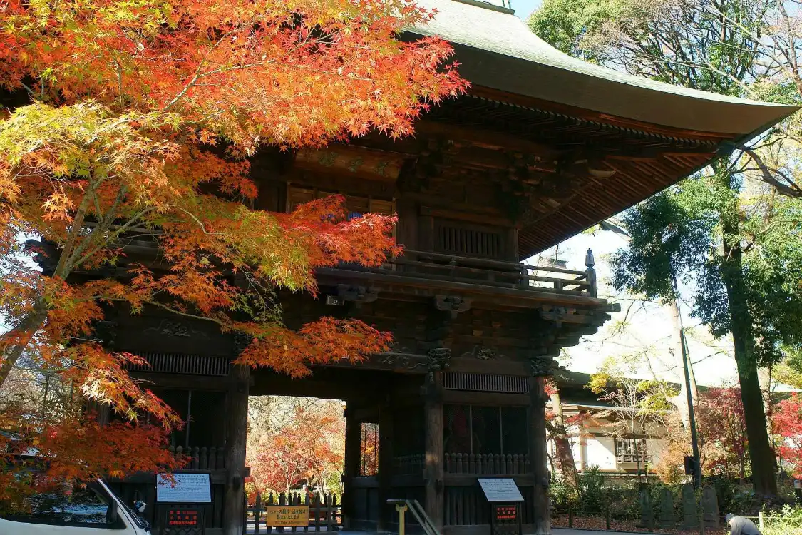 Hotel in zona Kuhombutsu Joshinji