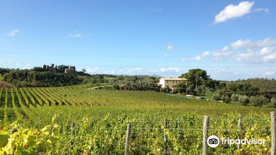 Orvieto