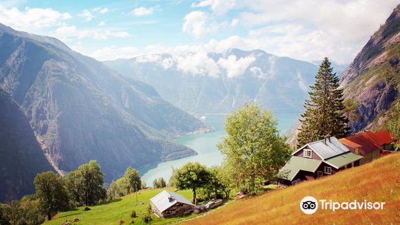 Kjeasen Mountain Farm