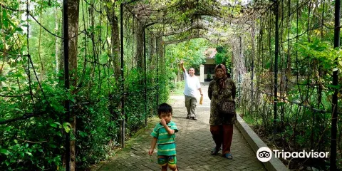 Hutan Kota Tulungagung