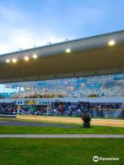 Curraheen Park Greyhound Stadium