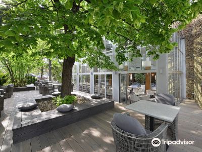 Premium Wellness & Wine Hotel Znojmo