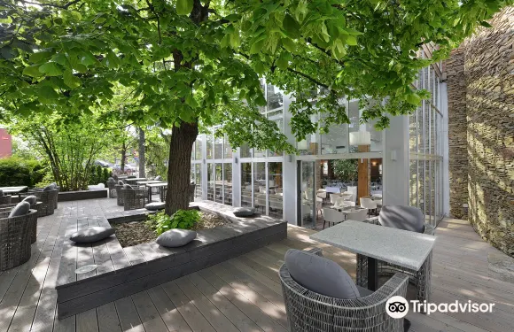 華麗紅酒療養中心酒店