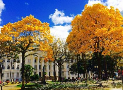 Rede Andrade San Martin