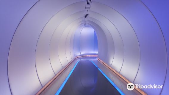 Netanya Beach Elevator