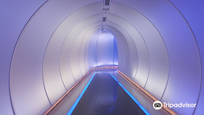 Netanya Beach Elevator