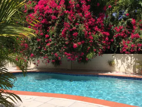 Buccaneer Beach Club - Apartments