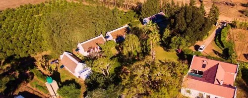 Rosedale Organic Farm Bed & Breakfast Hotels in Addo