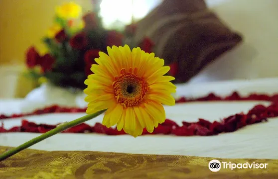 那格浦爾芒果酒店