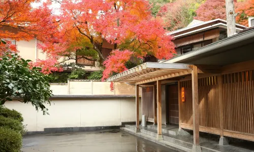 Oku Yugawara Tsubaki