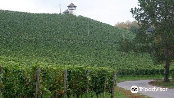 Rebhauschen am Bodensee