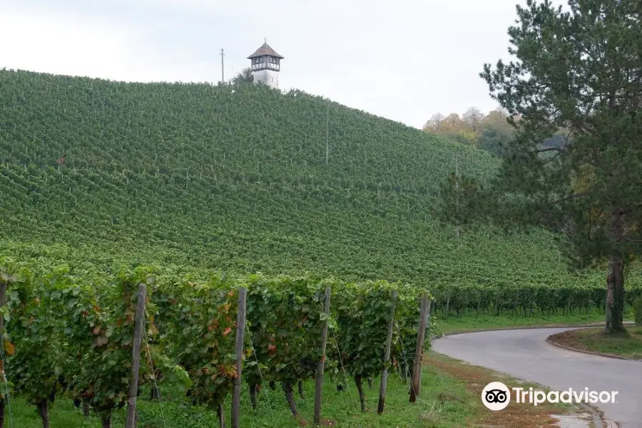 Rebhauschen am Bodensee