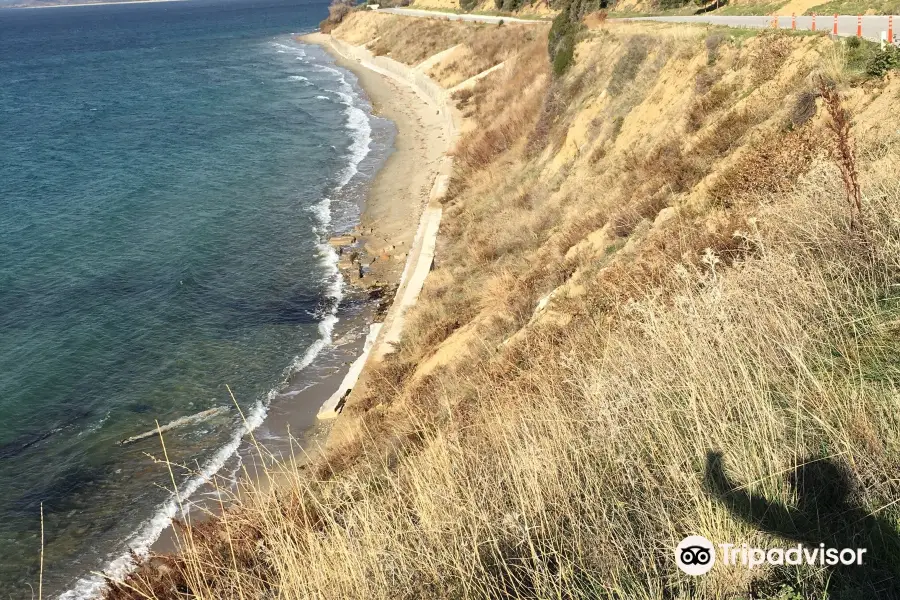 Anzac Cove