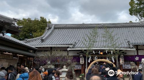 Katano Shrine