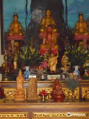 Phuoc Lam Pagoda