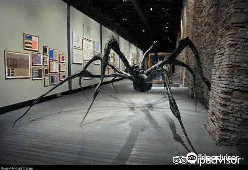 5_Fondazione Emilio e Annabianca Vedova