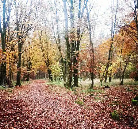Các khách sạn ở Portumna