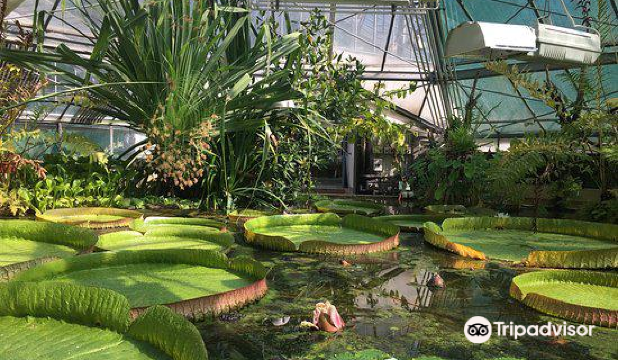 Fuveszkert - Az ELTE Botanikus kertje