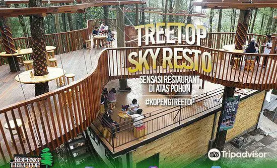 Kopeng Treetop Adventure Park