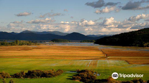 Cerknica Lake