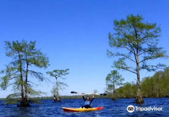 Lake Drummond