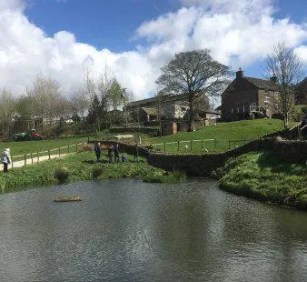 Blaze Farm & The Potty Sheep