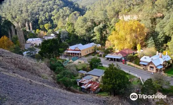 Walhalla Tramline Walkway