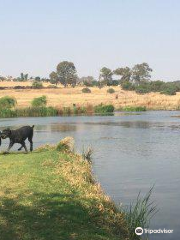 Walkhaven Dog Park