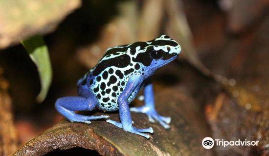 Zoopark The Oliemeulen