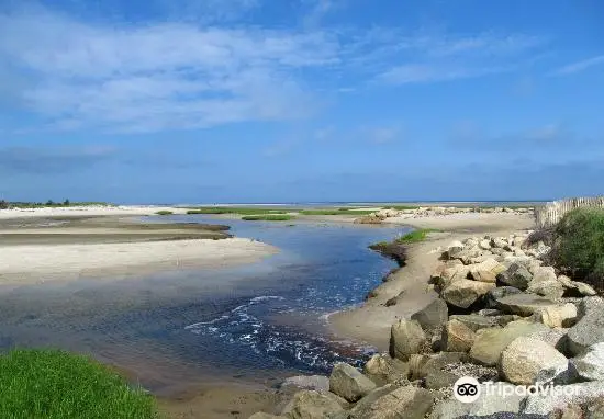 Paine's Creek Beach