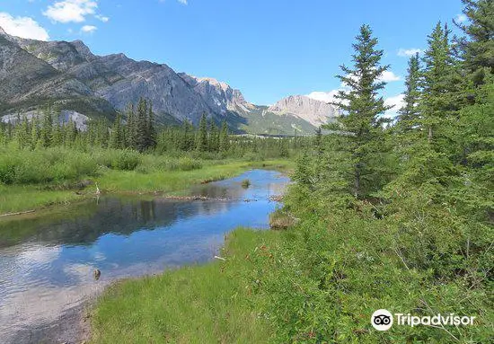 Bow Valley Provincial Park