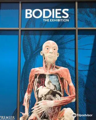 Bodies The Exhibition (Atlanta)