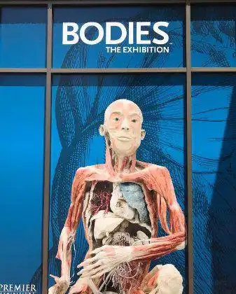 Hotel in zona Bodies The Exhibition Atlanta