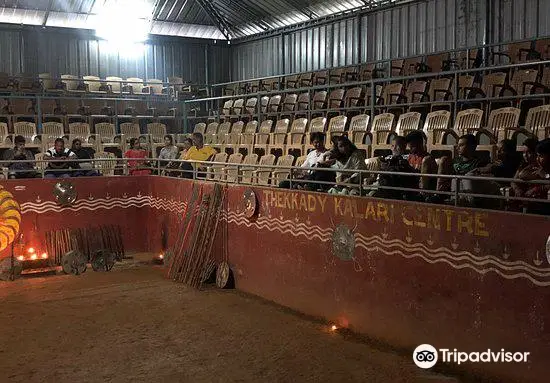 KADATHANADAN KALARI AND NAVARASA KATHAKALI CENTER