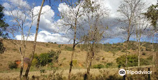 Serra da Moeda