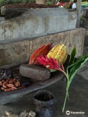 Agouti Cacao Farm