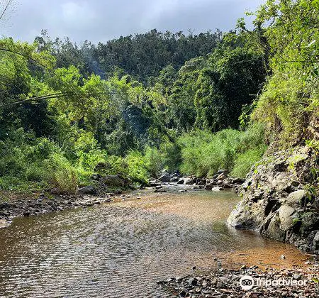 Salto Curet Waterfall