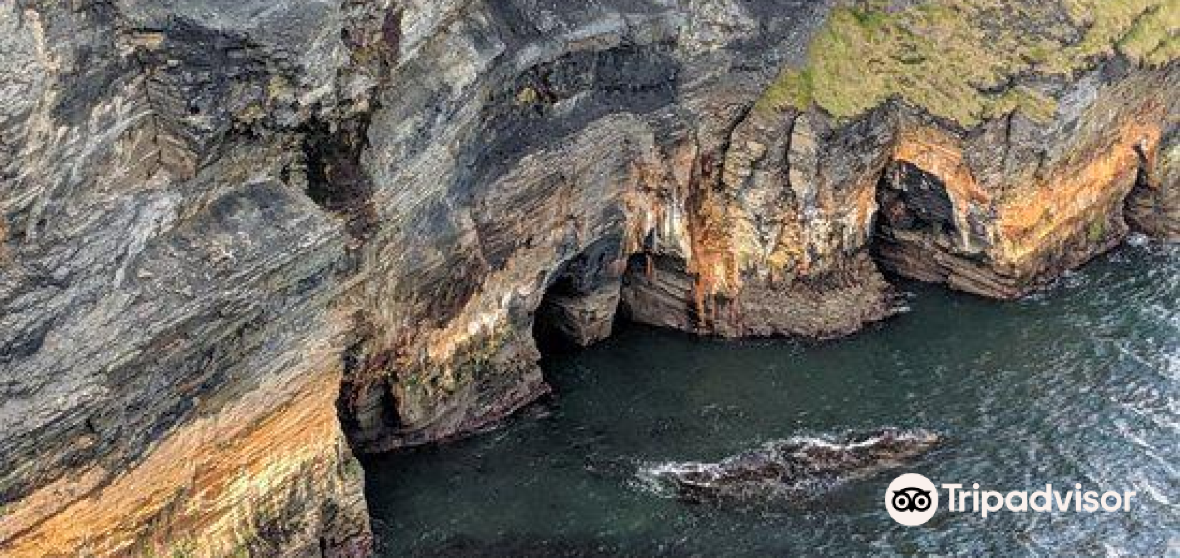 Things to Do in Ballybunion in 2024 Top Attractions, Local Food, Hotels & Travel Tips