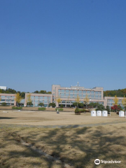 Geological Museum