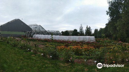 Dendrologic Park of Bulduri Gardening College