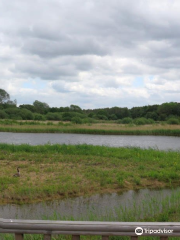 Potteric Carr Nature Reserve