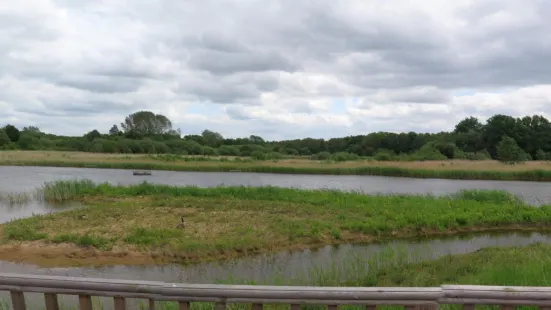 Potteric Carr Nature Reserve