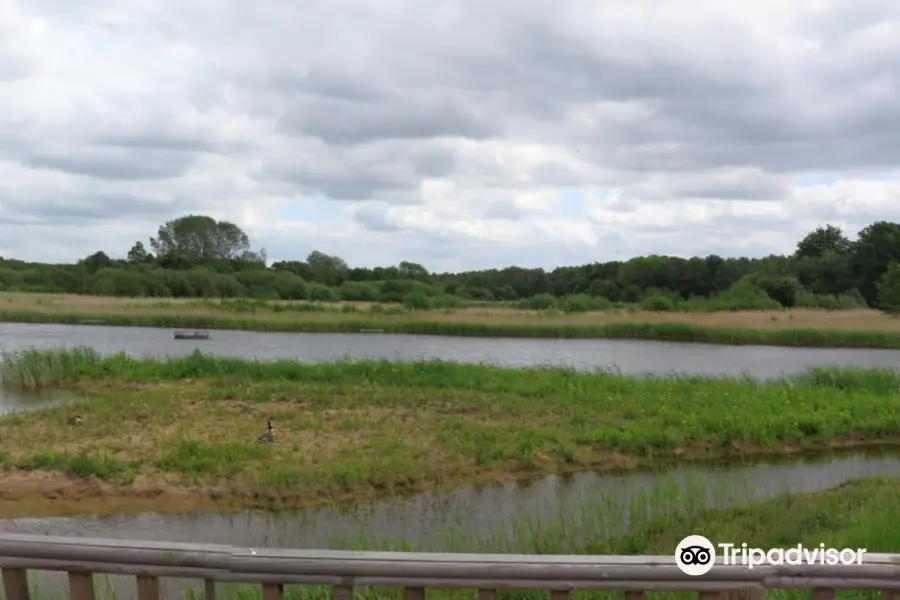 Potteric Carr Nature Reserve