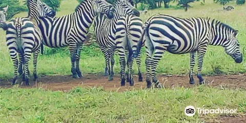 Kawira Safaris Ltd