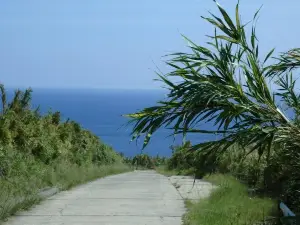 Suwanose Island