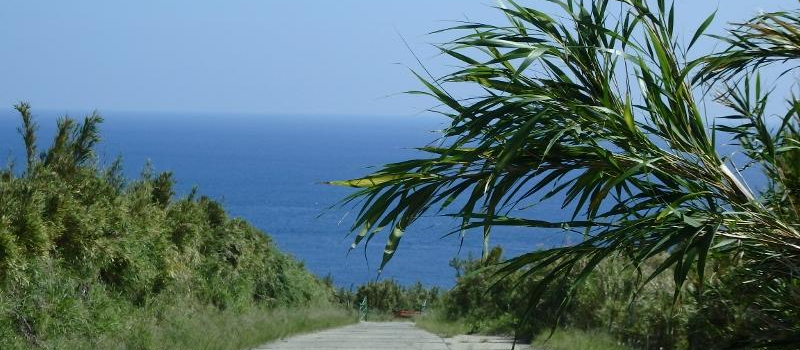 Suwanose Island