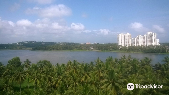Aakulam lake