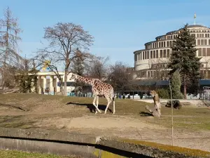 Wroclaw Zoo & Afrykarium